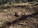 photo thumbnail #12