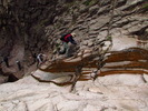 photo thumbnail #8
