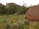photo thumbnail #4