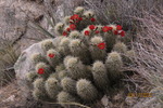 photo thumbnail #3
