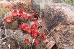 photo thumbnail #8