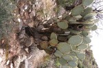 photo thumbnail #14