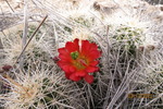 photo thumbnail #15
