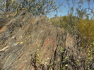 photo thumbnail #4