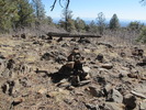 photo thumbnail #4