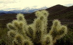 photo thumbnail #2