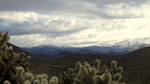 photo thumbnail #5