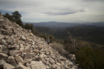 photo thumbnail #7