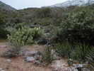 photo thumbnail #6