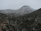 photo thumbnail #14