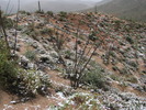 photo thumbnail #15