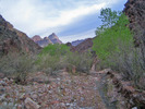 photo thumbnail #1