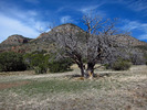 photo thumbnail #7