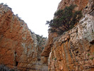 photo thumbnail #14
