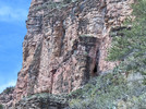 photo thumbnail #7