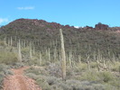 photo thumbnail #5