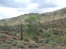 photo thumbnail #6