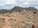 photo thumbnail #15