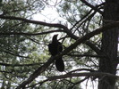 photo thumbnail #10