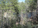 photo thumbnail #11