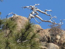 photo thumbnail #15