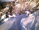 photo thumbnail #2