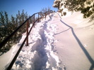 photo thumbnail #4