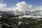photo thumbnail #1