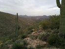 photo thumbnail #6