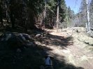 photo thumbnail #2