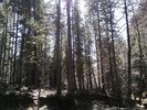 photo thumbnail #7