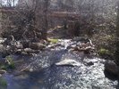 photo thumbnail #9