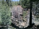 photo thumbnail #8