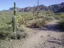 photo thumbnail #4