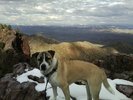 photo thumbnail #5