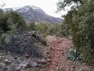 photo thumbnail #2