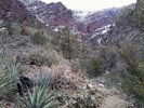 photo thumbnail #11