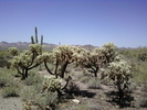 photo thumbnail #3