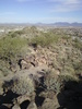 photo thumbnail #8