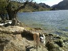 photo thumbnail #4