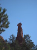 photo thumbnail #4