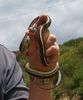 photo thumbnail #14