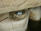 photo thumbnail #15