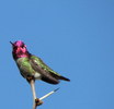 photo thumbnail #2