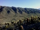 photo thumbnail #2