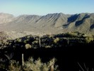 photo thumbnail #8