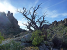 photo thumbnail #10