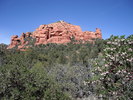 photo thumbnail #2