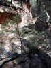 photo thumbnail #12