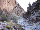 photo thumbnail #12